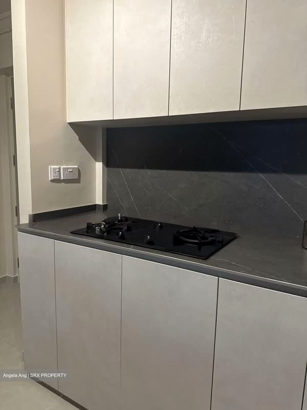 The Brownstone (D27), Condominium #585804981